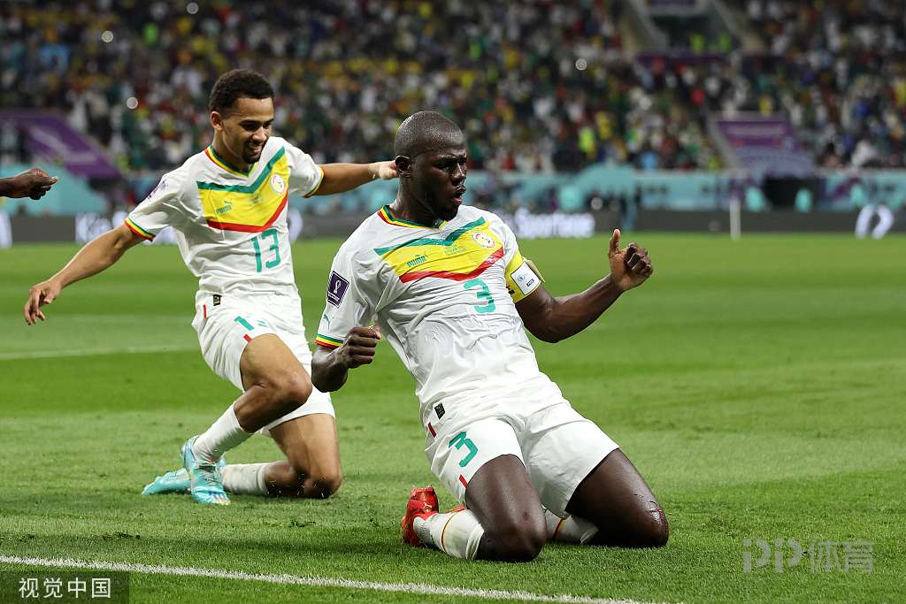 世界杯-塞内加尔2-1厄瓜多尔晋级淘汰赛 萨尔、库利巴利建功 9 世界杯-塞内加尔2-1厄瓜多尔晋级淘汰赛 萨尔、库利巴利建功