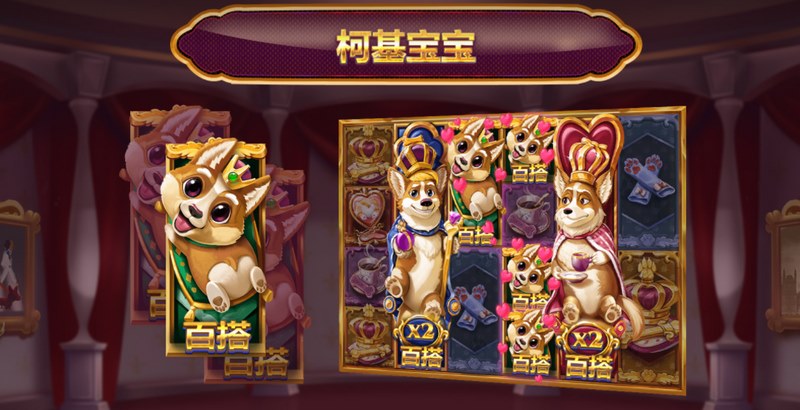 贵族狗狗——加入贵族之列,开启萌宠冒险之旅! 7 柯基宝宝